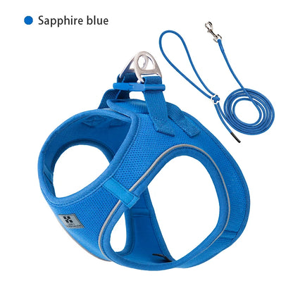 Adjustable Reflective Dog Harness & Leash Set