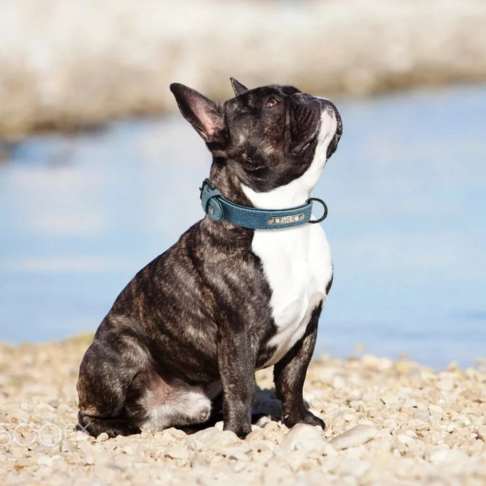 Personalized Leather Dog Collar with Name ID