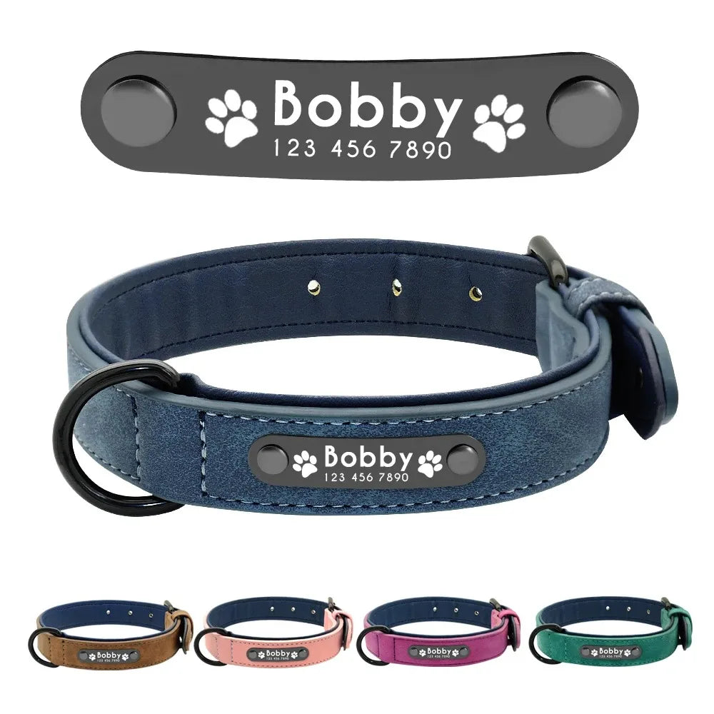 Personalized Leather Dog Collar with Name ID