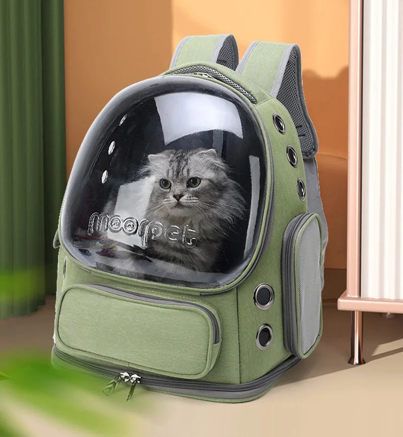 Transparent Pet Carrier Backpack for Cats & Small Dogs