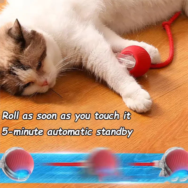 Automatic Interactive Cat Teaser Toy Set