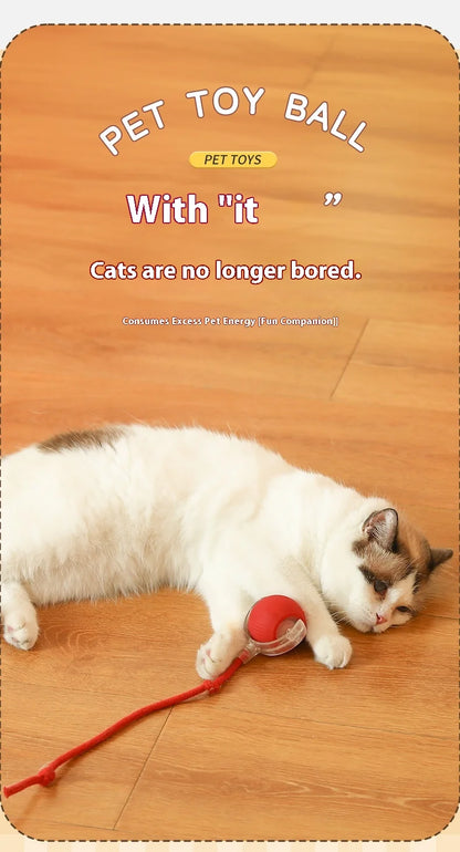 Smart Interactive Cat Rolling Ball Toy (2-Pack)