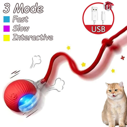 Smart Interactive Cat Rolling Ball Toy (2-Pack)
