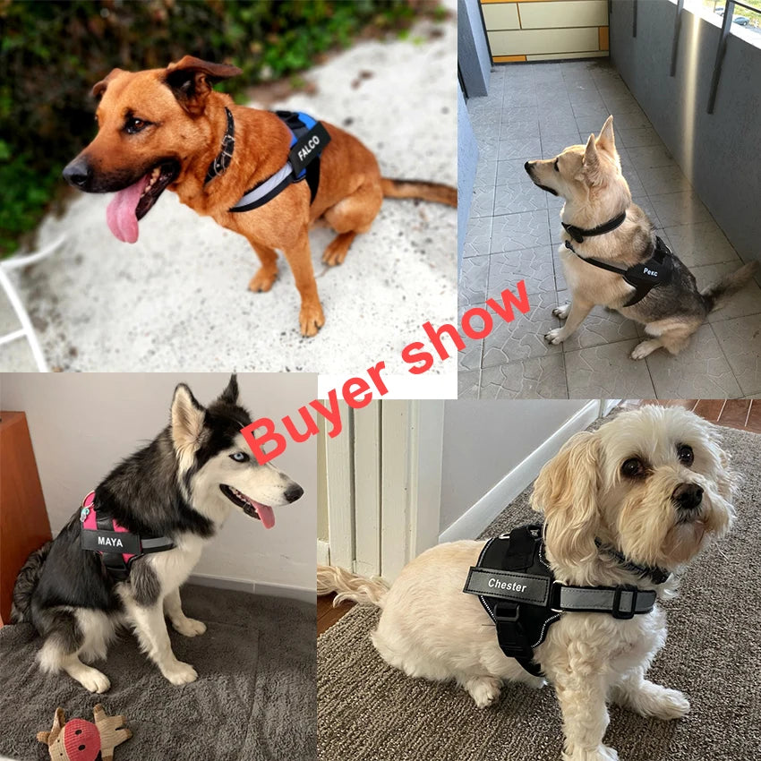 Personalized No-Pull Reflective Dog Harness Vest