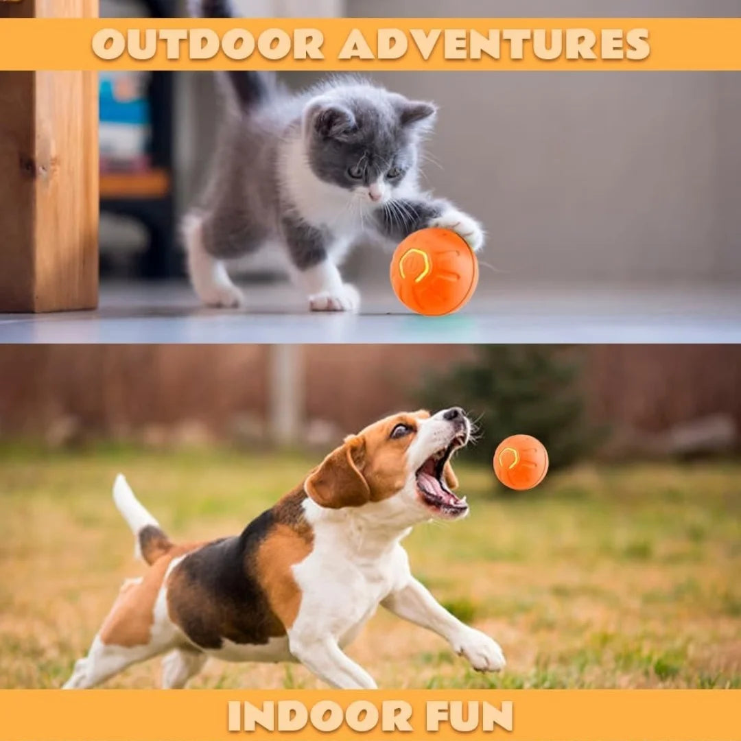 Electric Bouncing Smart Pet Ball for Dogs & Cats