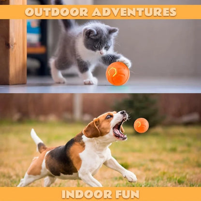 Electric Bouncing Smart Pet Ball for Dogs & Cats