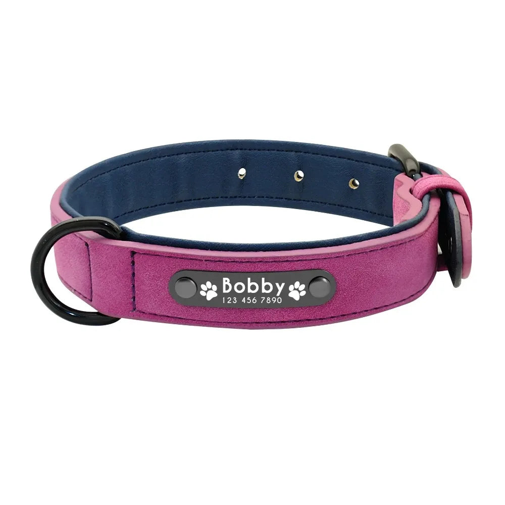 Personalized Leather Dog Collar with Name ID