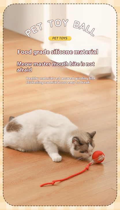 Smart Interactive Cat Rolling Ball Toy (2-Pack)