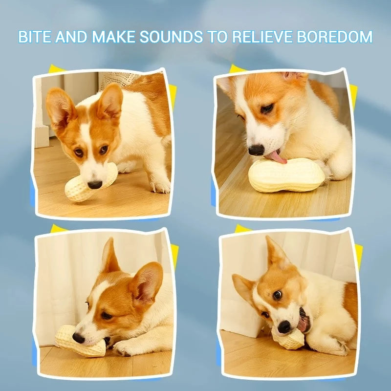 TPR Peanut Shape Squeaky Dog Chew Toy