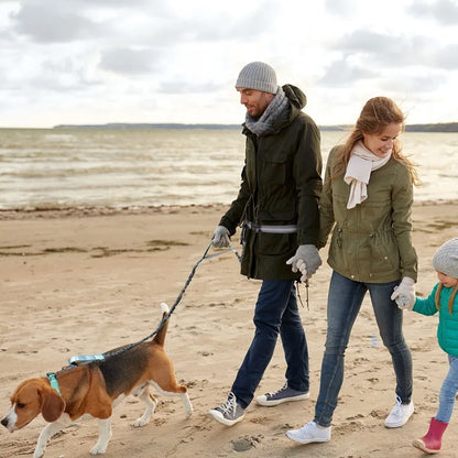 Reflective Elastic Running Dog Leash