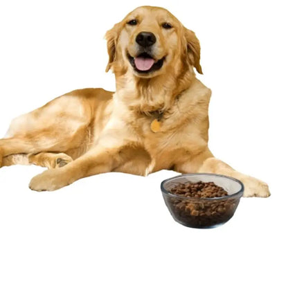 Absorbent Waterproof Pet Feeding Mat for Food & Water Bowls