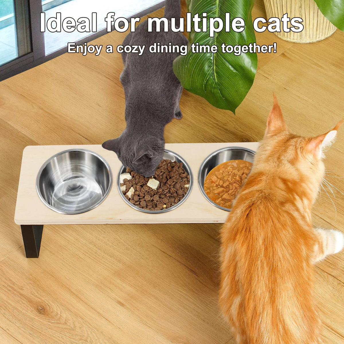 Elevated Cat Bowl Set with 3 Stainless Steel Bowls (15° Tilt)