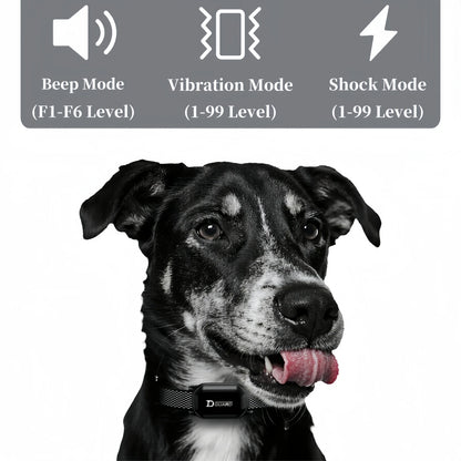 800m Digital Dog Training Collar Waterproof Rechargeable Remote Control Pet with LCD Display for All Size Shock Vibration Sound