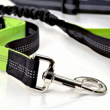 Hands-Free Retractable Dog Leash with Waist Belt