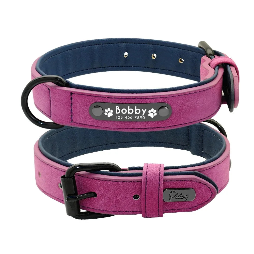Personalized Leather Dog Collar with Name ID