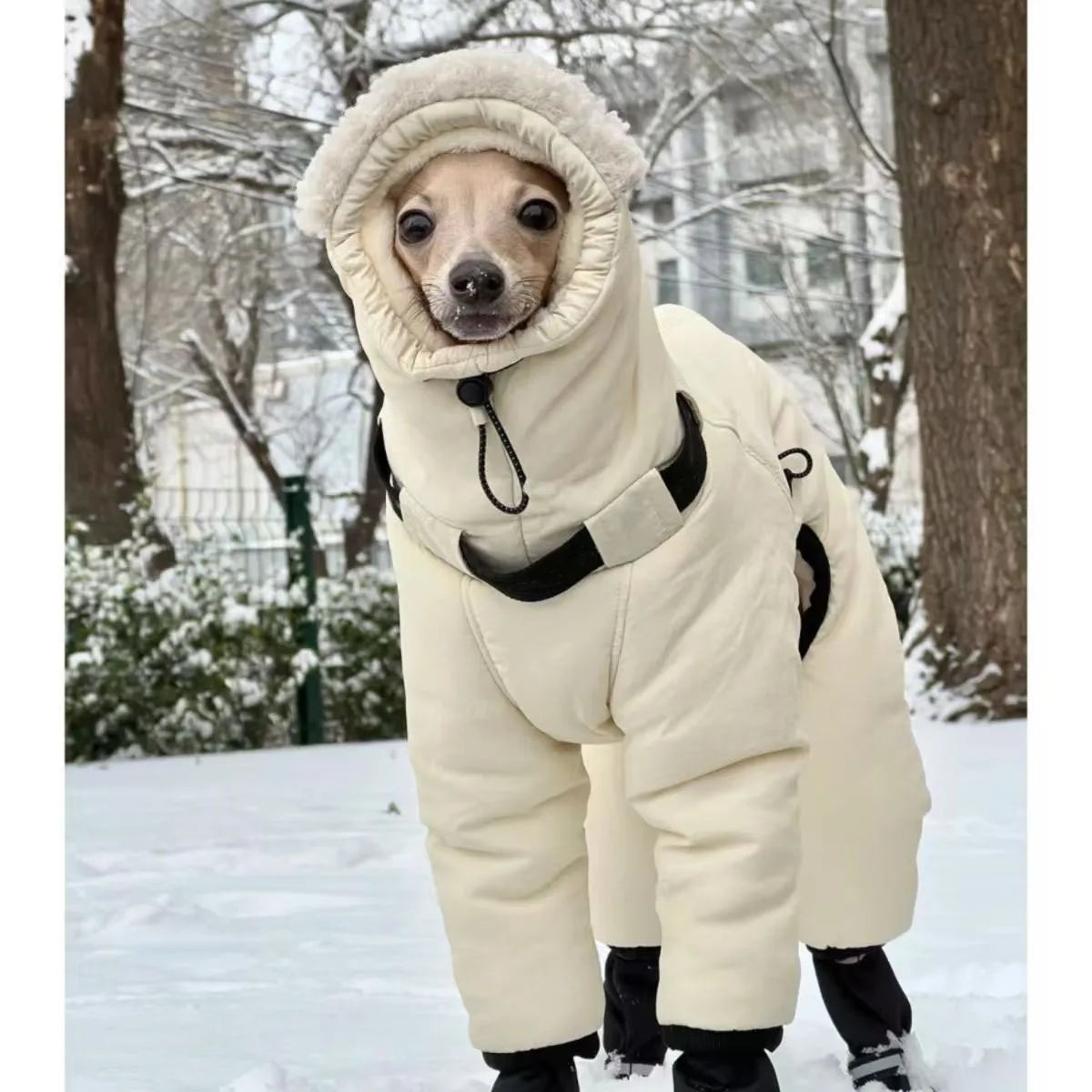 Thickened Winter Dog Down Jacket for Large Dogs