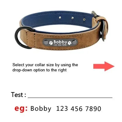 Personalized Leather Dog Collar with Name ID