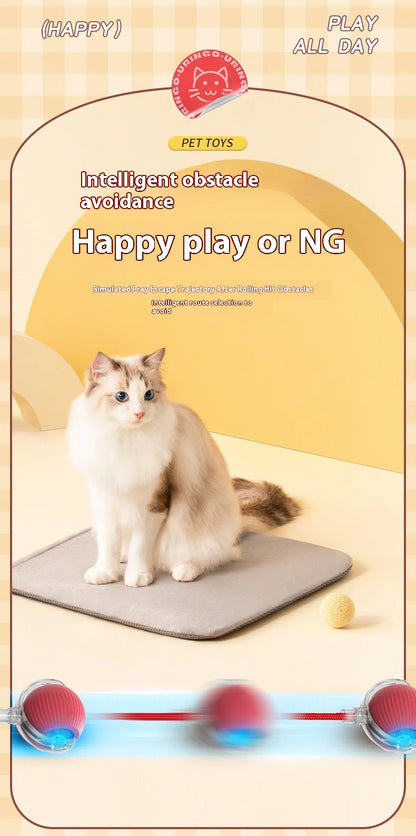 Smart Interactive Cat Rolling Ball Toy (2-Pack)