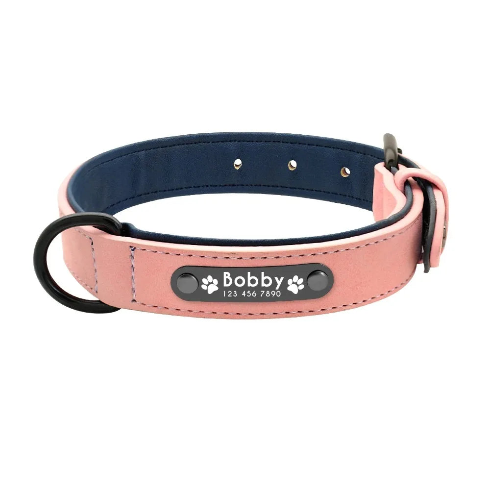 Personalized Leather Dog Collar with Name ID