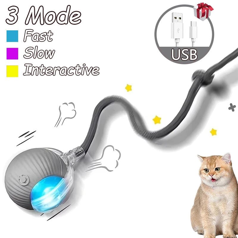 Smart Interactive Cat Rolling Ball Toy (2-Pack)