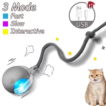 Smart Interactive Cat Rolling Ball Toy (2-Pack)