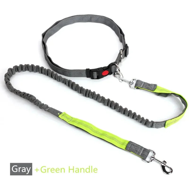 Hands-Free Retractable Dog Leash with Waist Belt