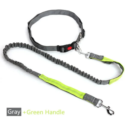 Hands-Free Retractable Dog Leash with Waist Belt