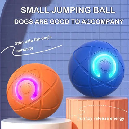 Rechargeable Automatic Rolling Dog Toy Ball