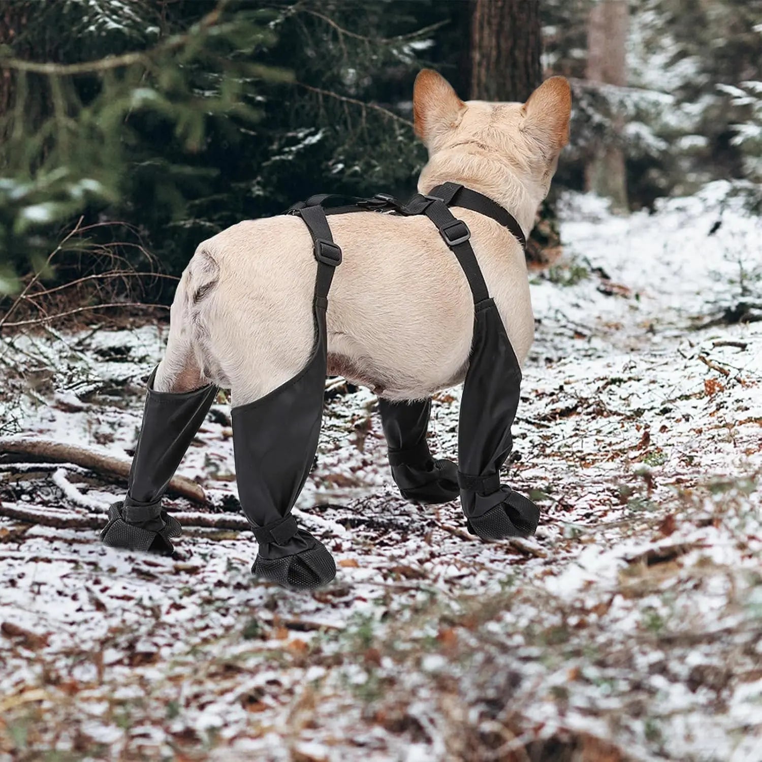 Anti-Slip Dog Rain Booties Paw Protectors