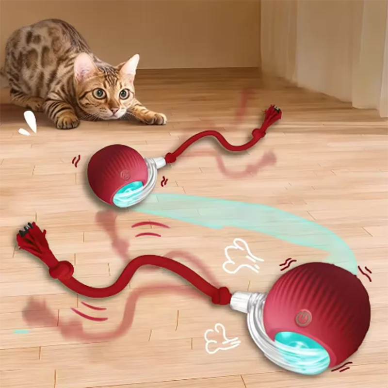Automatic Interactive Cat Teaser Toy Set