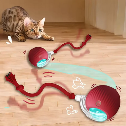 Automatic Interactive Cat Teaser Toy Set