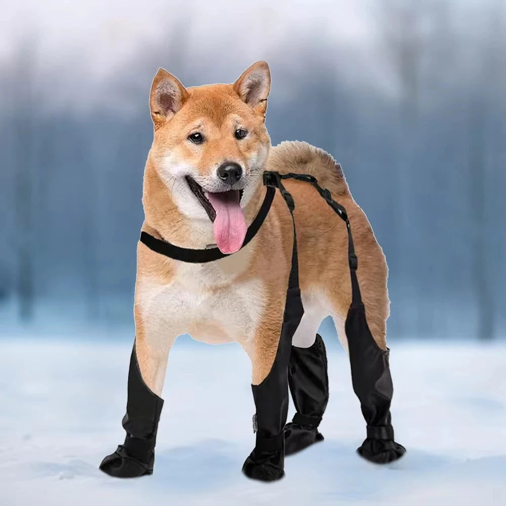 Anti-Slip Dog Rain Booties Paw Protectors