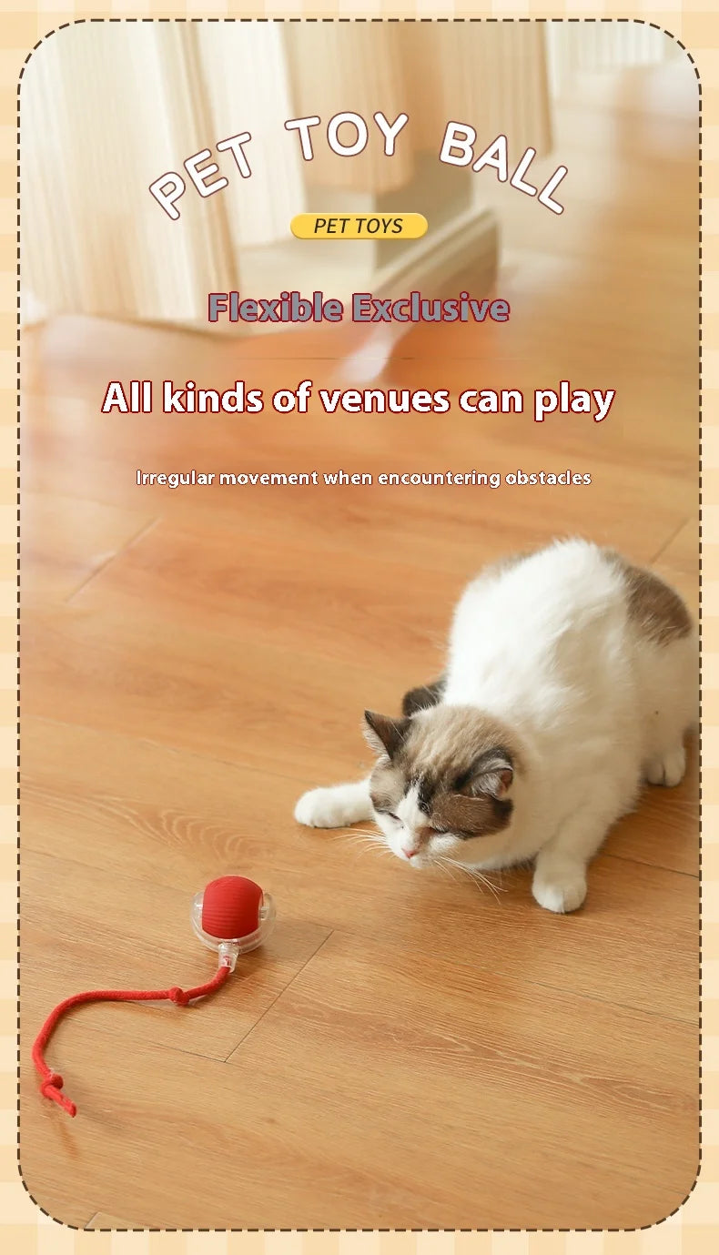 Smart Interactive Cat Rolling Ball Toy (2-Pack)