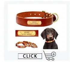 Personalized Leather Dog Collar with Name ID
