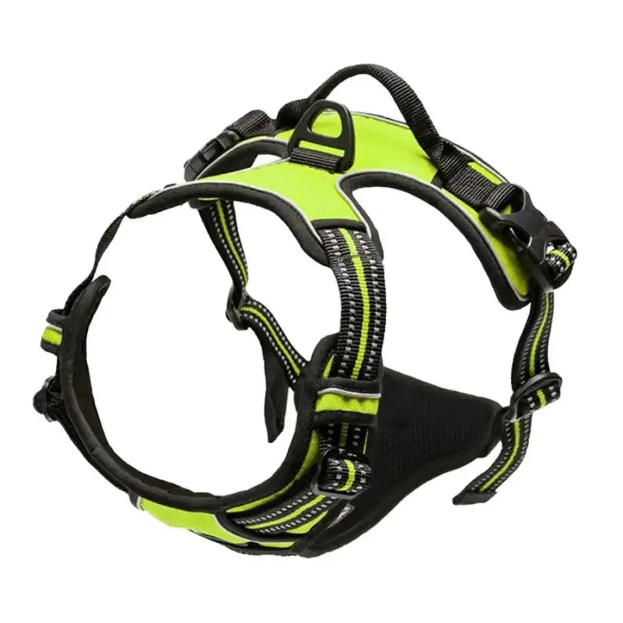 Leather Dog Collar, Harness & Leash Set