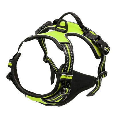Leather Dog Collar, Harness & Leash Set