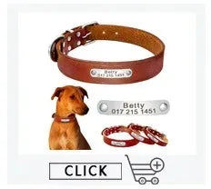 Personalized Leather Dog Collar with Name ID