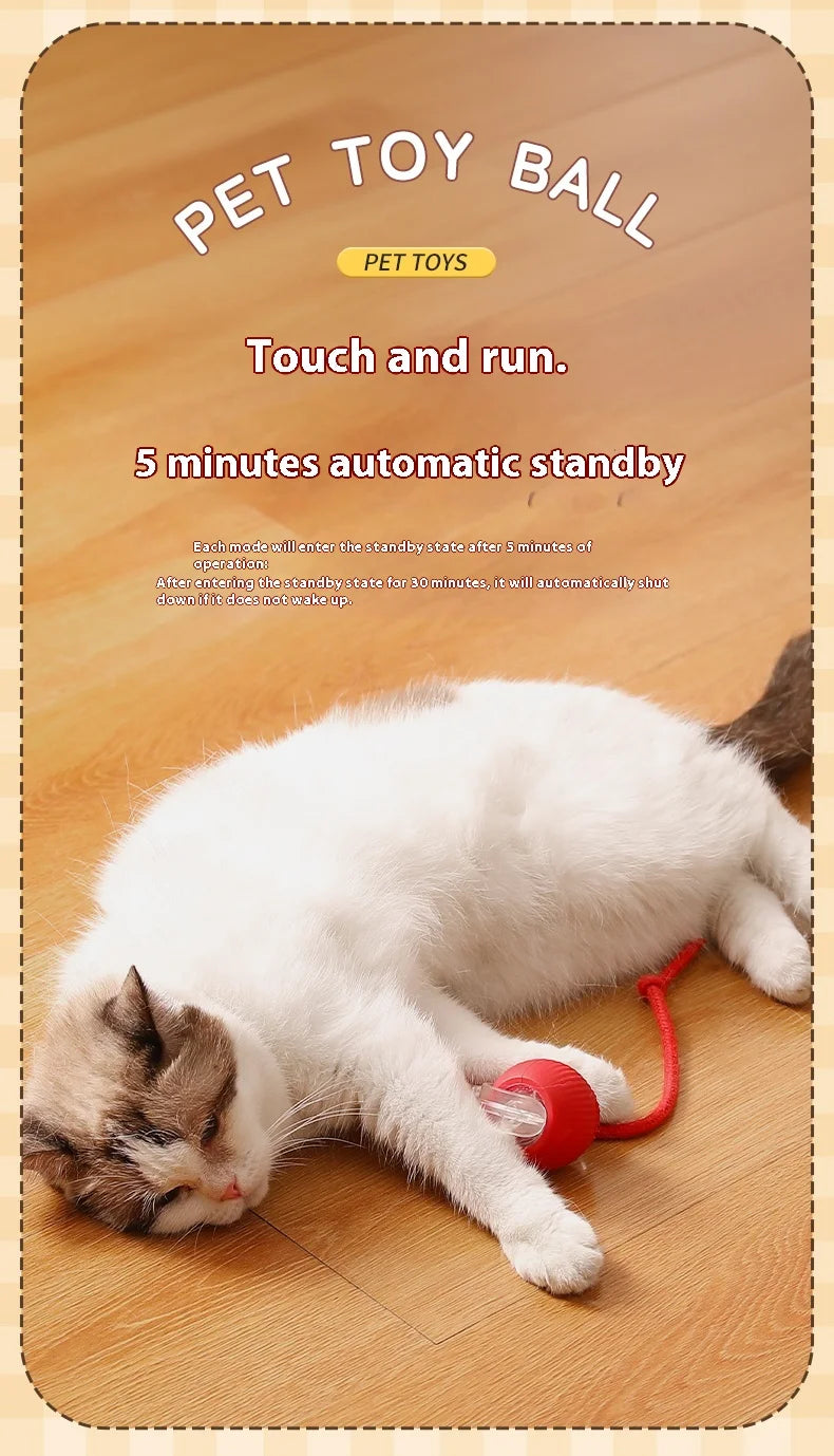 Smart Interactive Cat Rolling Ball Toy (2-Pack)