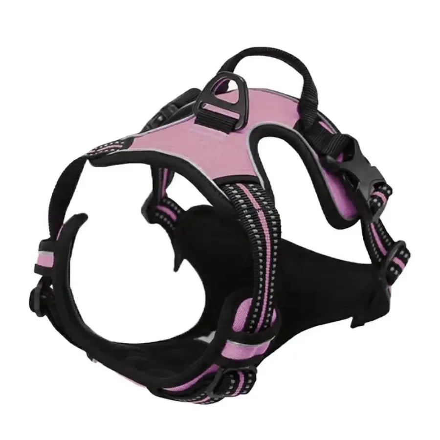 Leather Dog Collar, Harness & Leash Set
