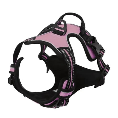 Leather Dog Collar, Harness & Leash Set