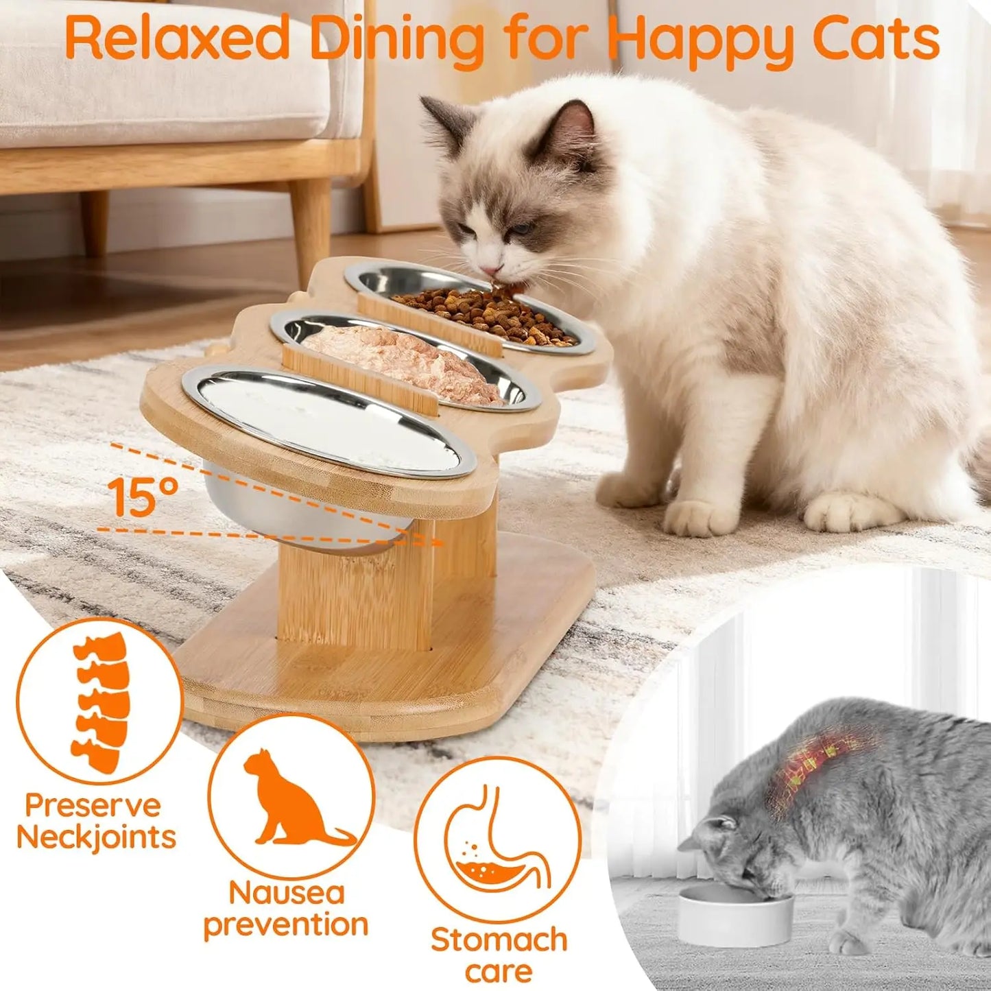 Raised Cat Bowl Feeder with Wood Stand & 3 Stainless Steel Bowls