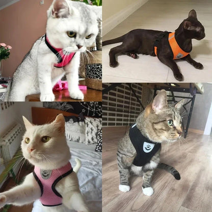 Adjustable Mesh Cat & Small Dog Harness Vest