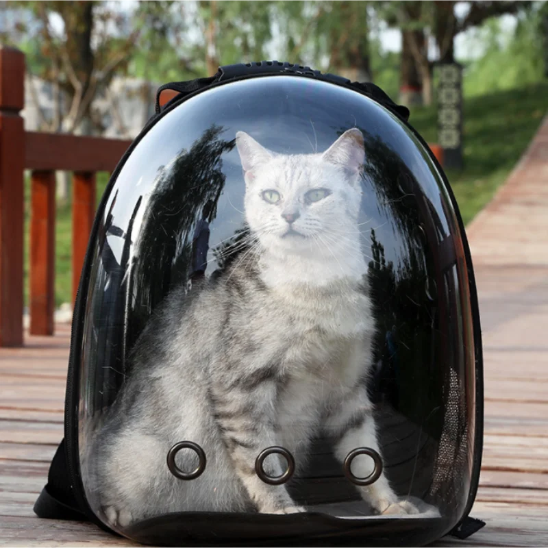 Transparent Pet Backpack Carrier