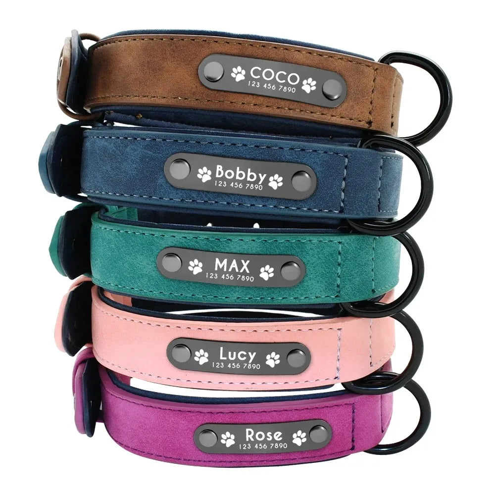 Personalized Leather Dog Collar with Name ID