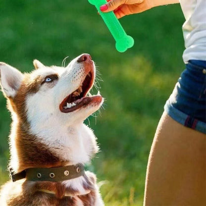 Rubber Dog Chew Toy for Aggressive Chewers