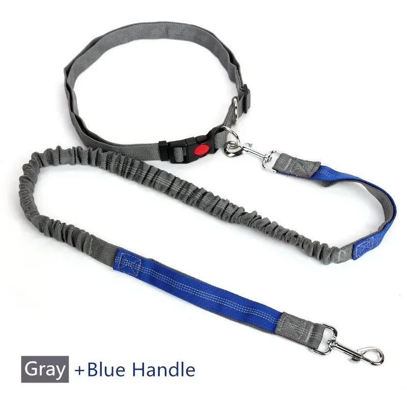 Hands-Free Retractable Dog Leash with Waist Belt