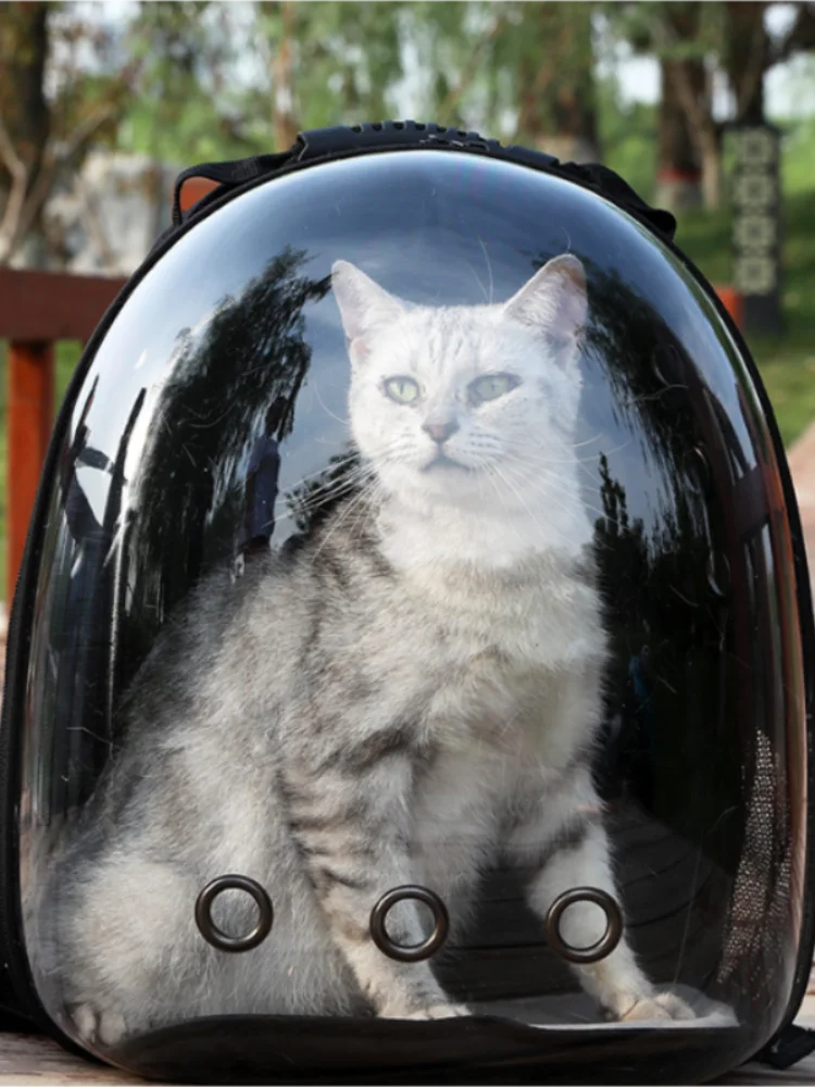 Transparent Pet Backpack Carrier