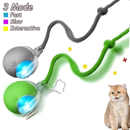Smart Interactive Cat Rolling Ball Toy (2-Pack)