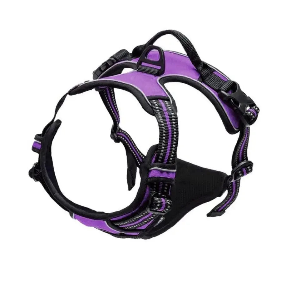 Leather Dog Collar, Harness & Leash Set