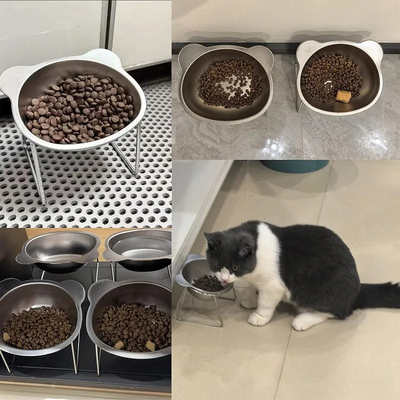 15° Tilted Elevated Stainless Steel Cat Bowl